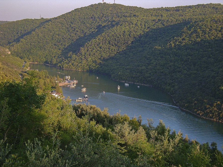 sveta marina